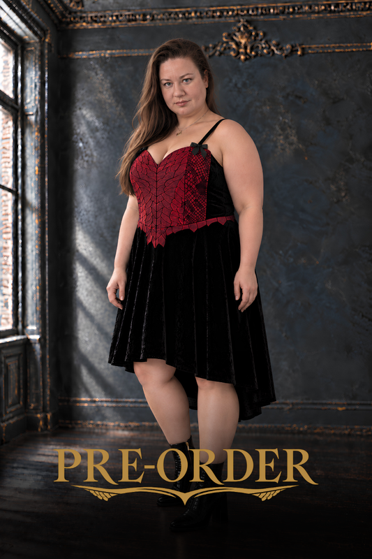Dragon Inspired Velvet  Dress - PRE-ORDER